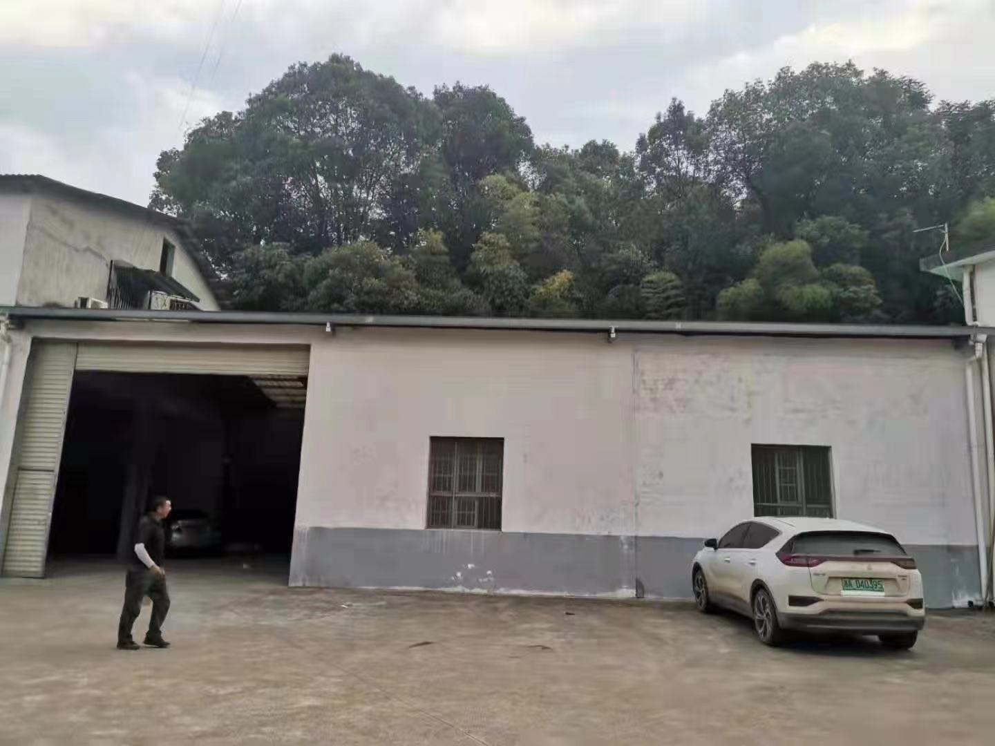 安沙镇安沙中路散盘  1室1厅1卫    9000.0元/月户型图