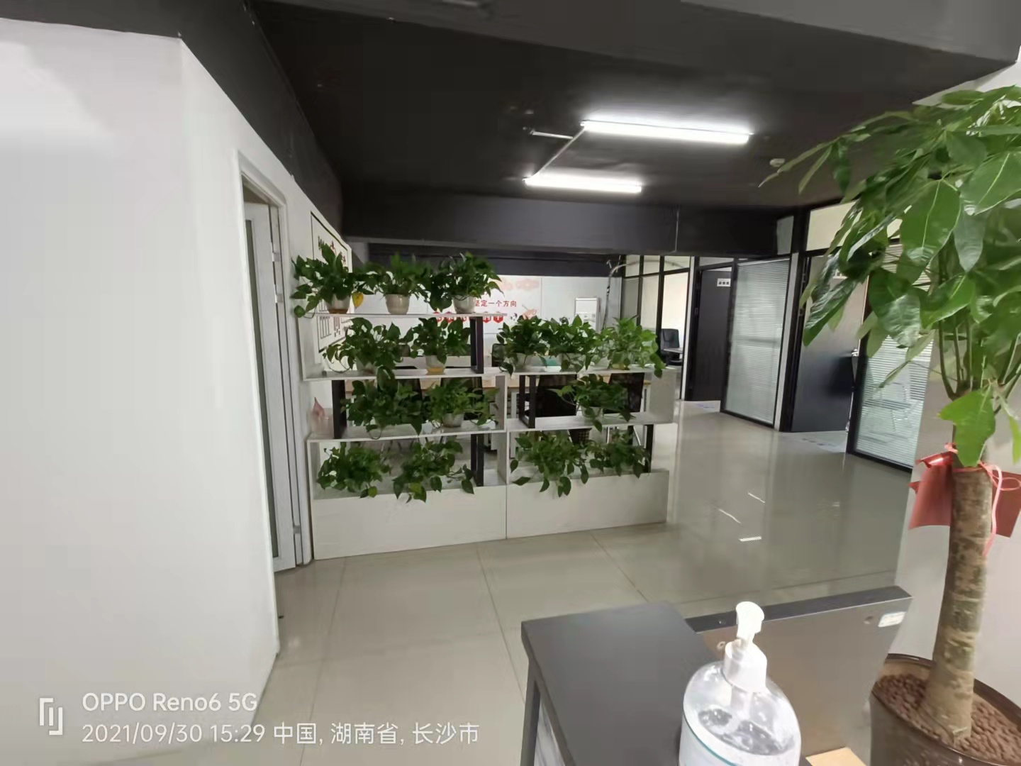 嘉盛国际广场 1室1厅1卫 9000.0元/月 嘉盛国际广场 1室1厅1卫 9000.0元/月室内图