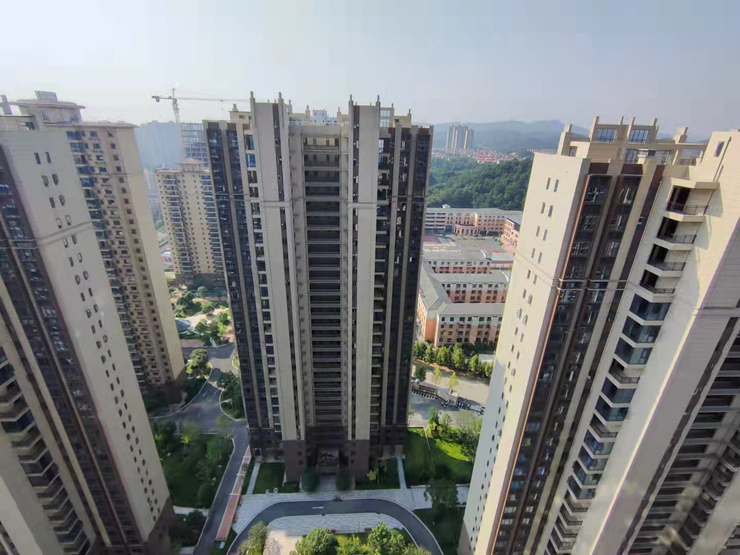 碧桂园梓山府 3室2厅2卫 96.8万 碧桂园梓山府 3室2厅2卫 96.8万其他