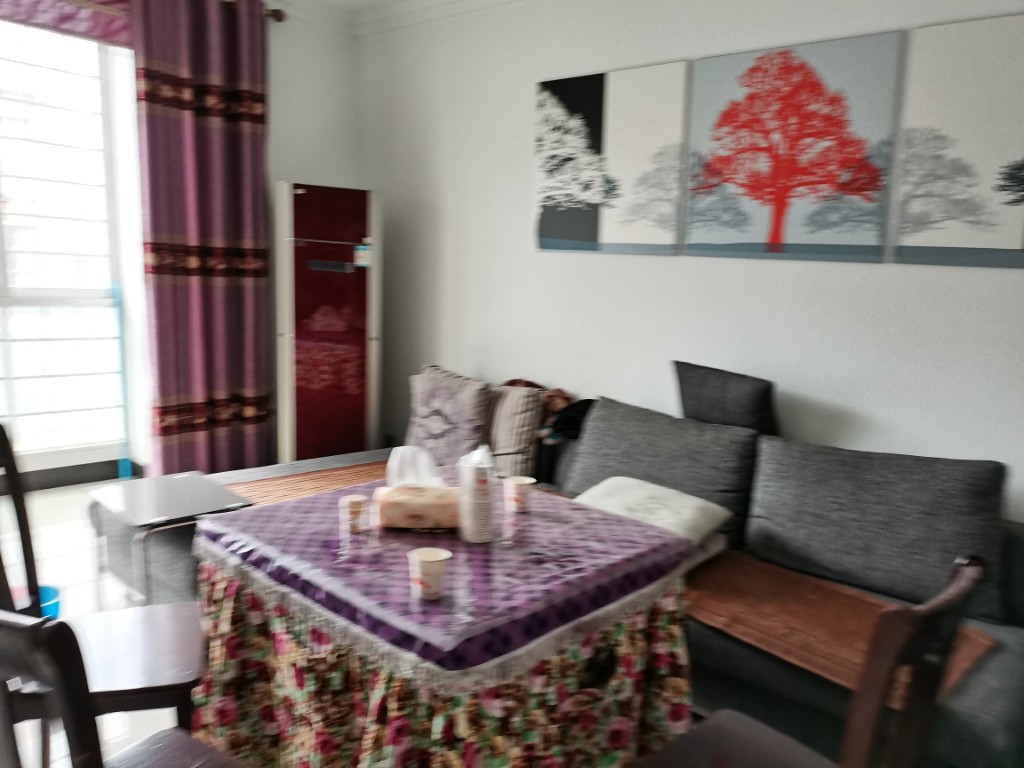 加州阳光小区（吉星阳光）  3室2厅2卫    65.8万客厅