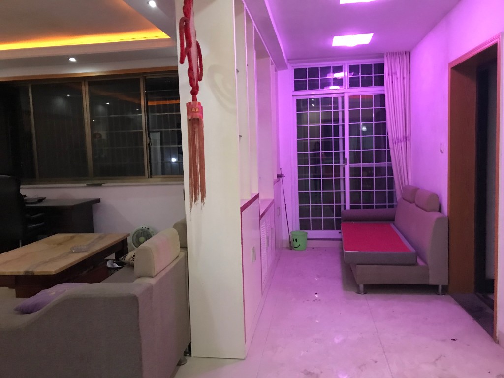 红星小区  3室2厅1卫    2200.0元/月 红星小区  3室2厅1卫    2200.0元/月室内图