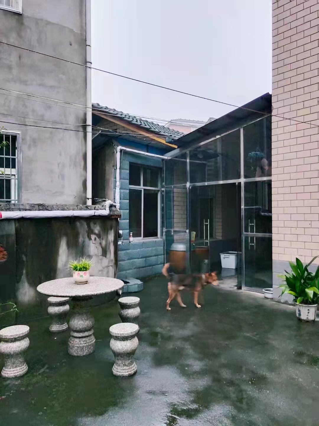 私房(桃源县所有) 6室3厅3卫 300.0万 私房(桃源县所有) 6室3厅3卫 300.0万其他