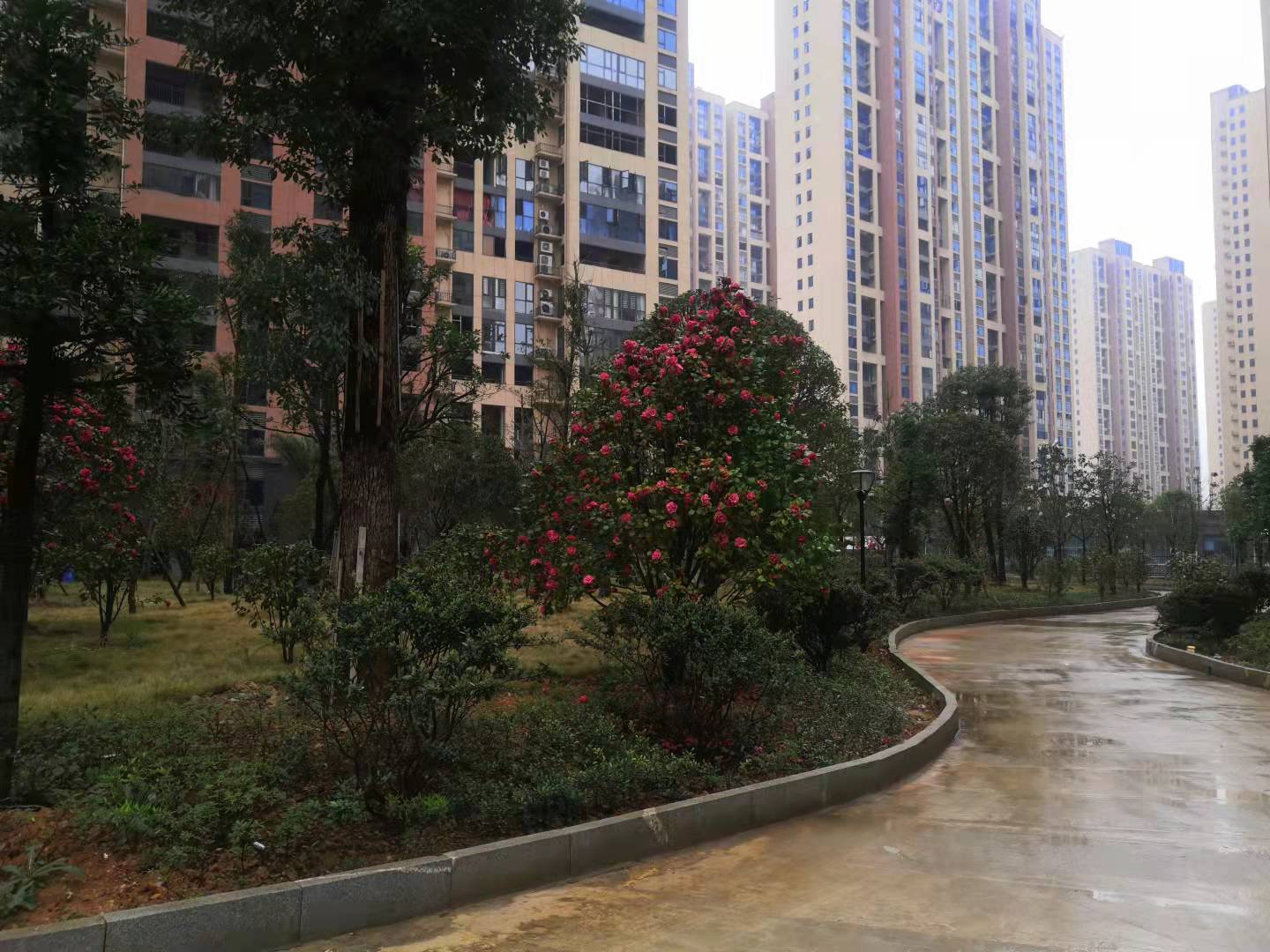 皇城御园 1室1厅1卫 46.8万 皇城御园 1室1厅1卫 46.8万卫生间