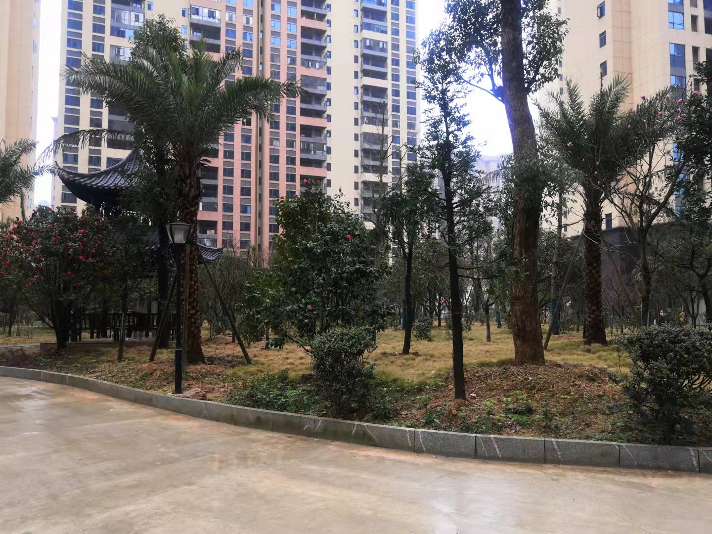 皇城御园 1室1厅1卫 46.8万 皇城御园 1室1厅1卫 46.8万小区图