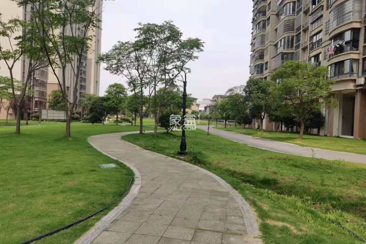 新都汇 1室1厅1卫 1500.0元/月 新都汇 1室1厅1卫 1500.0元/月小区图