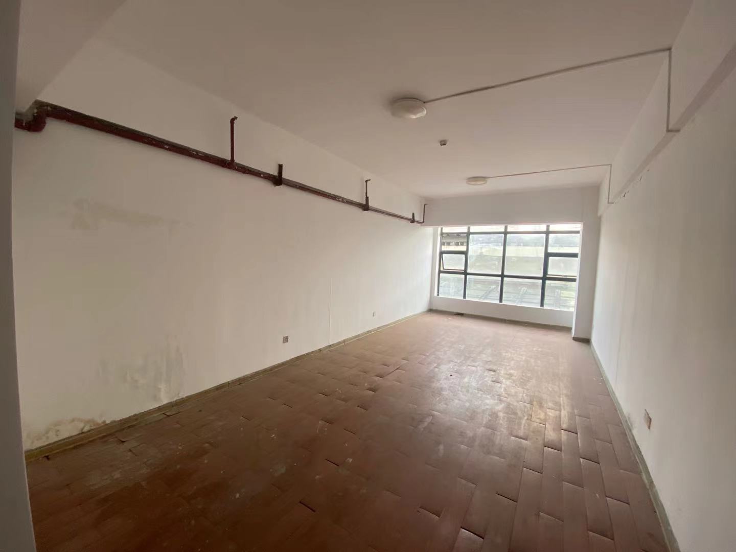 鑫天国际(鑫天偶遇) 1室1厅1卫 1100.0元/月 鑫天国际(鑫天偶遇) 1室1厅1卫 1100.0元/月室内图