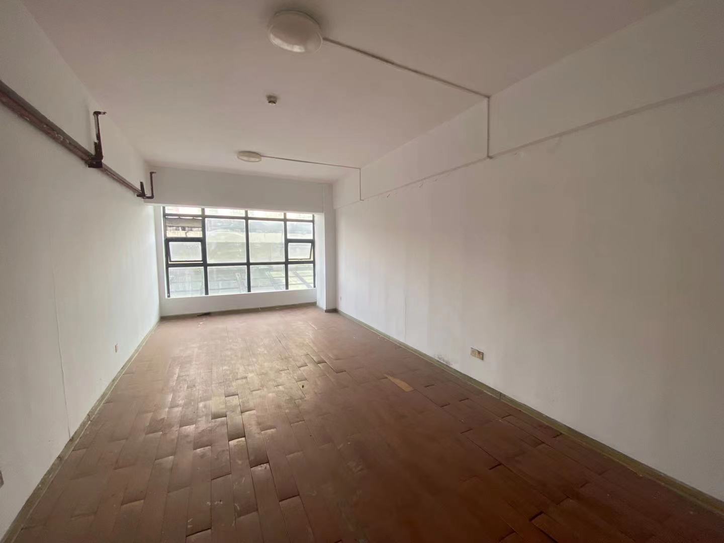 鑫天国际(鑫天偶遇) 1室1厅1卫 1100.0元/月 鑫天国际(鑫天偶遇) 1室1厅1卫 1100.0元/月室内图