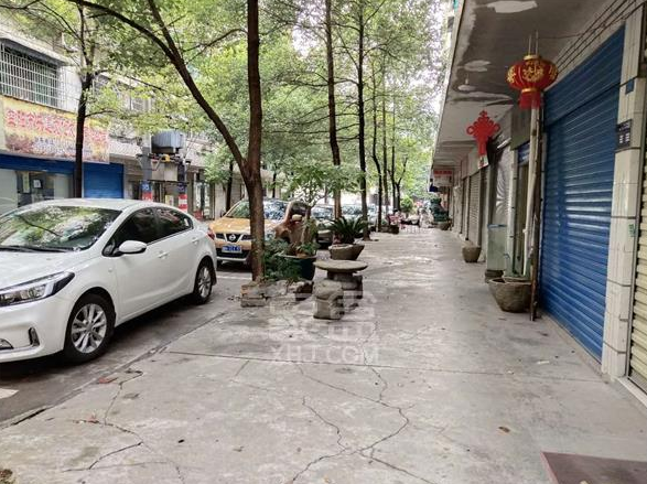 明月小区  3室2厅1卫   1300.00元/月小区图