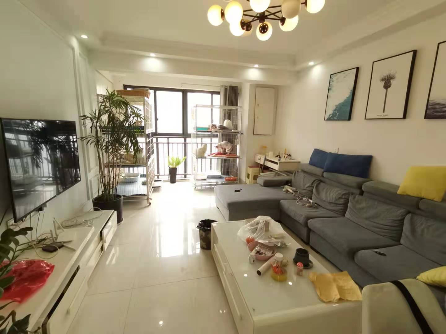 康桥漫步  2室2厅1卫    50.0万 康桥漫步  2室2厅1卫    50.0万