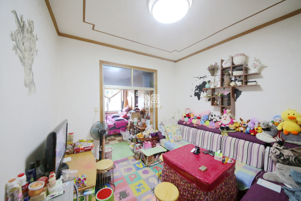 二十六中宿舍  2室2厅1卫   36.00万