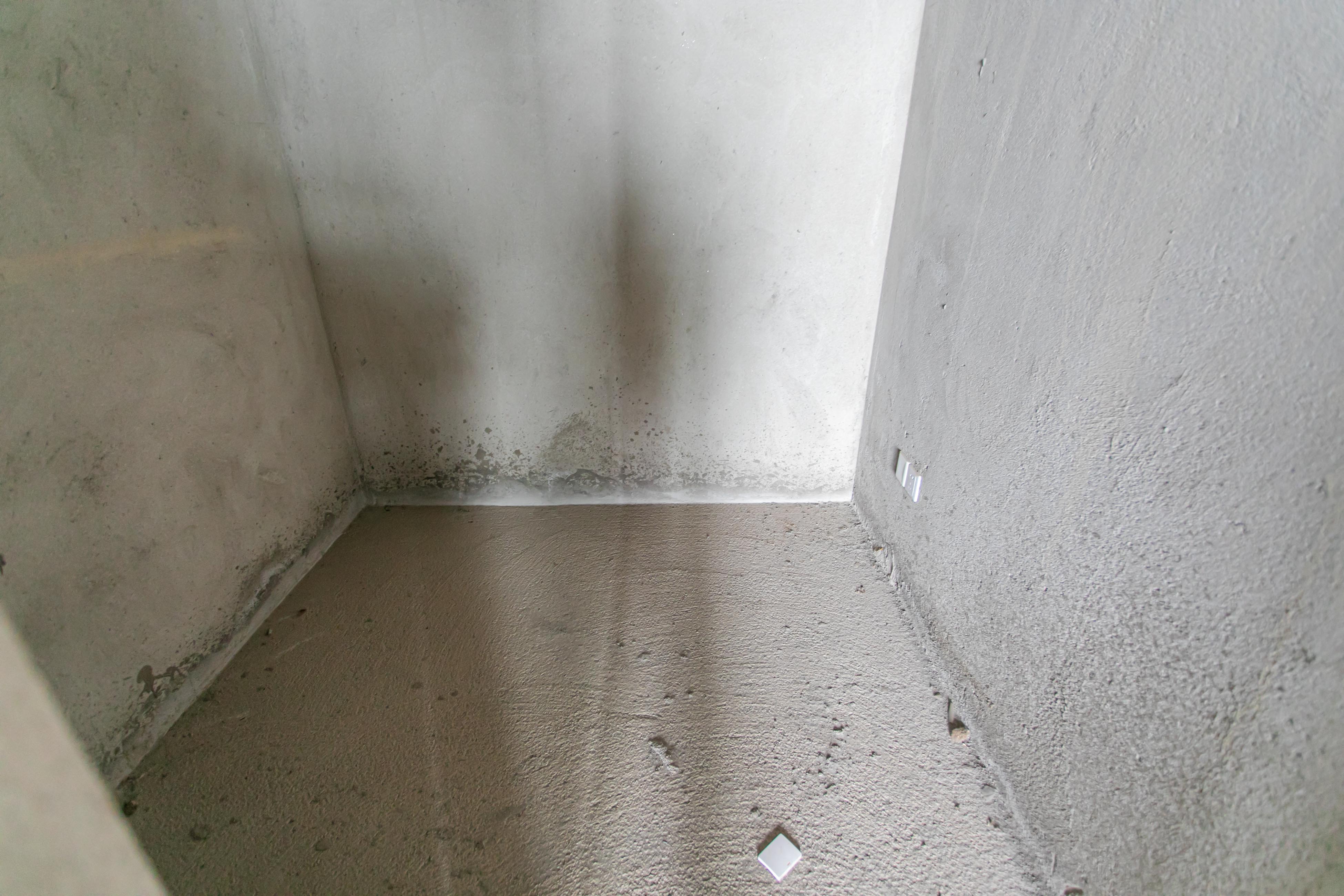 星电恬园  4室2厅2卫    129.0万 星电恬园  4室2厅2卫    129.0万其他