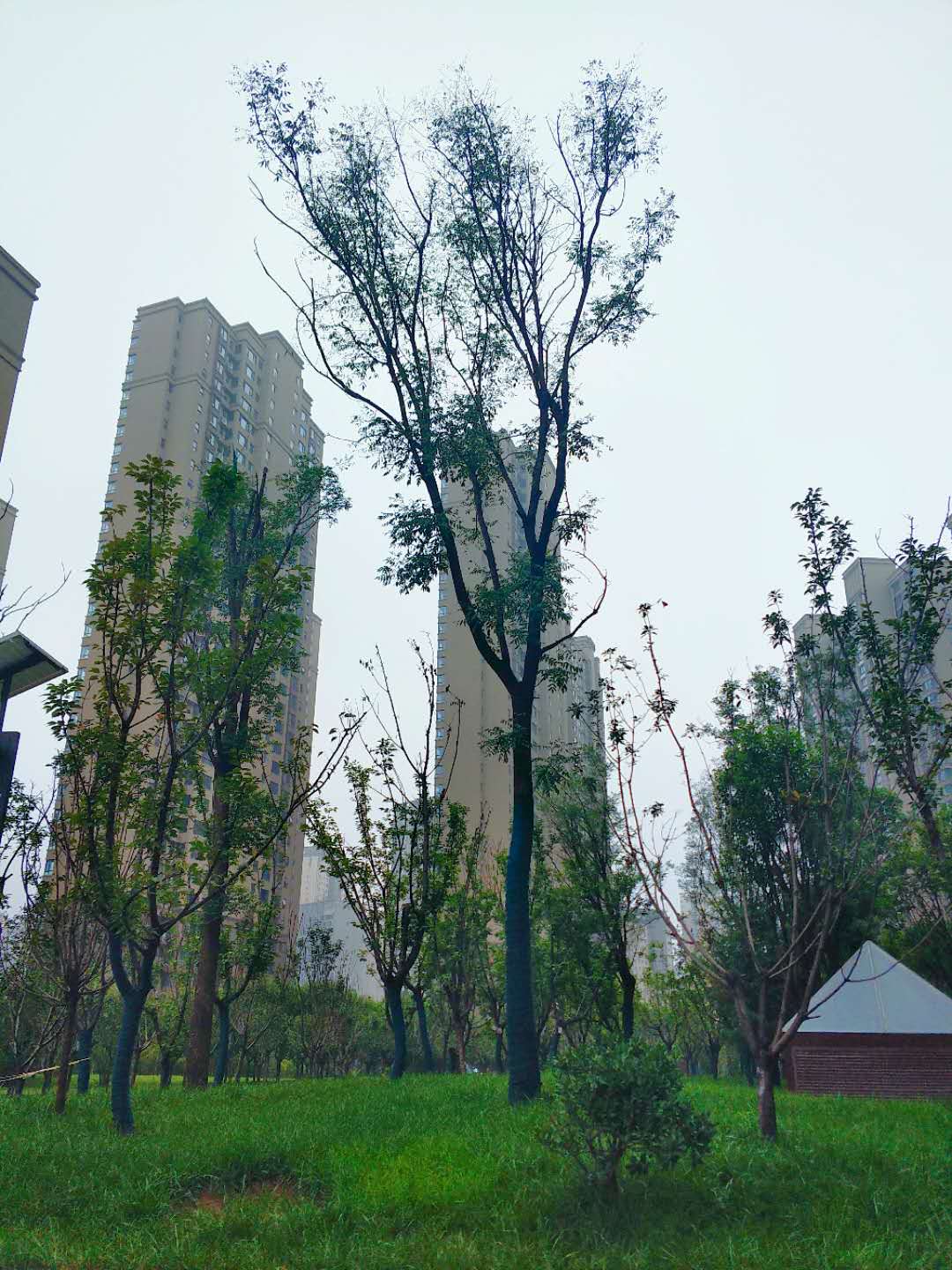 中铁建国际城  3室2厅1卫   320.00万小区图