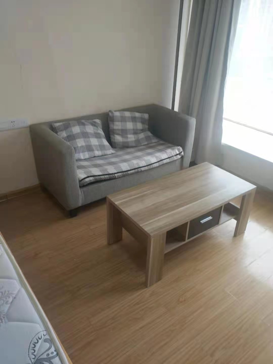 阳光青年城  1室1厅1卫    1000.0元/月 阳光青年城  1室1厅1卫    1000.0元/月室内图