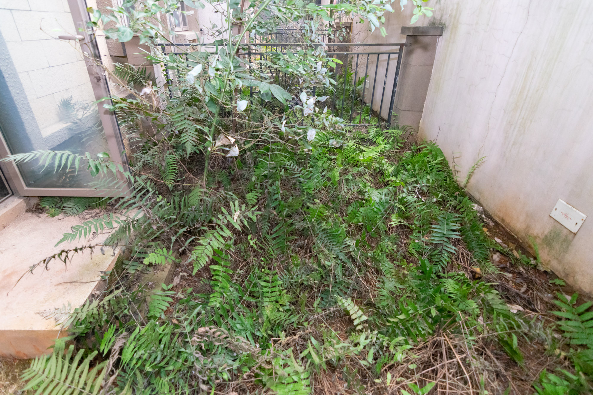 盈峰翠邸  3室2厅2卫   108.00万阳台