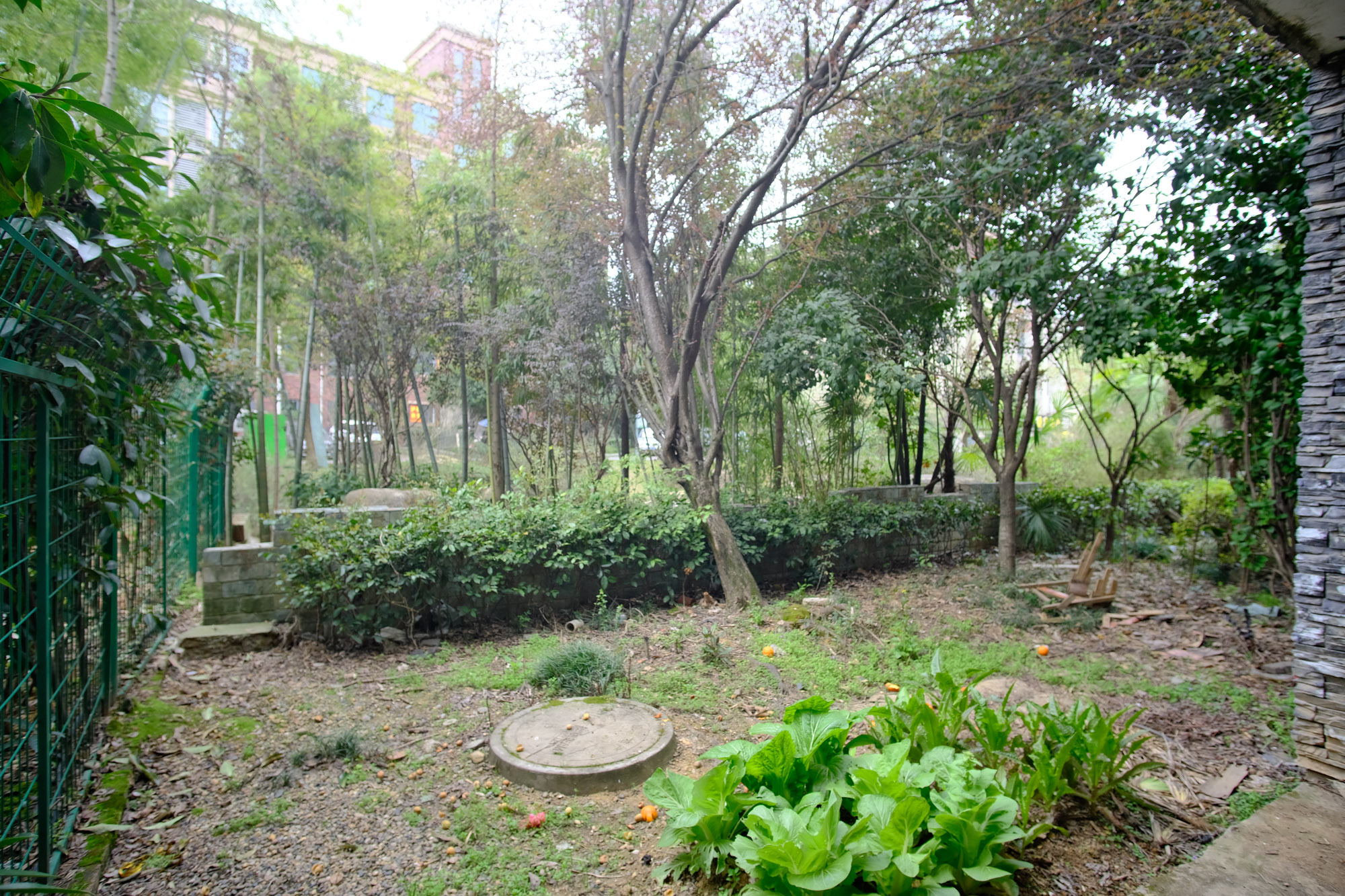 山水湾 4室2厅3卫 500.0万 山水湾 4室2厅3卫 500.0万客厅