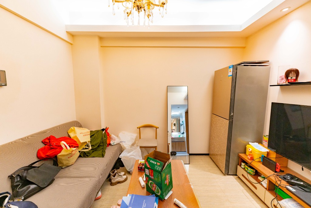 奥林匹克花园贡院二期  1室1厅1卫    56.0万室内图1