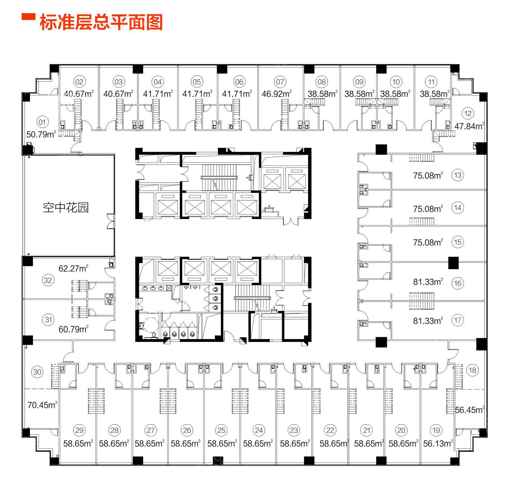 泰禹雅鲤学位图片