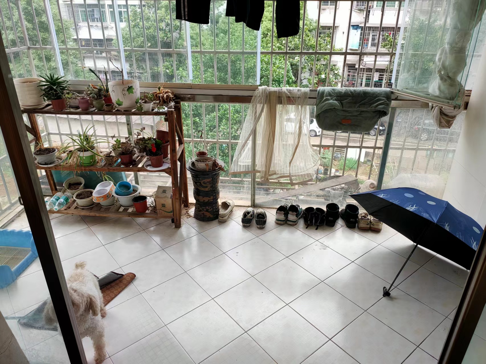 钻石怡园 3室2厅2卫 69.0万 钻石怡园 3室2厅2卫 69.0万客厅