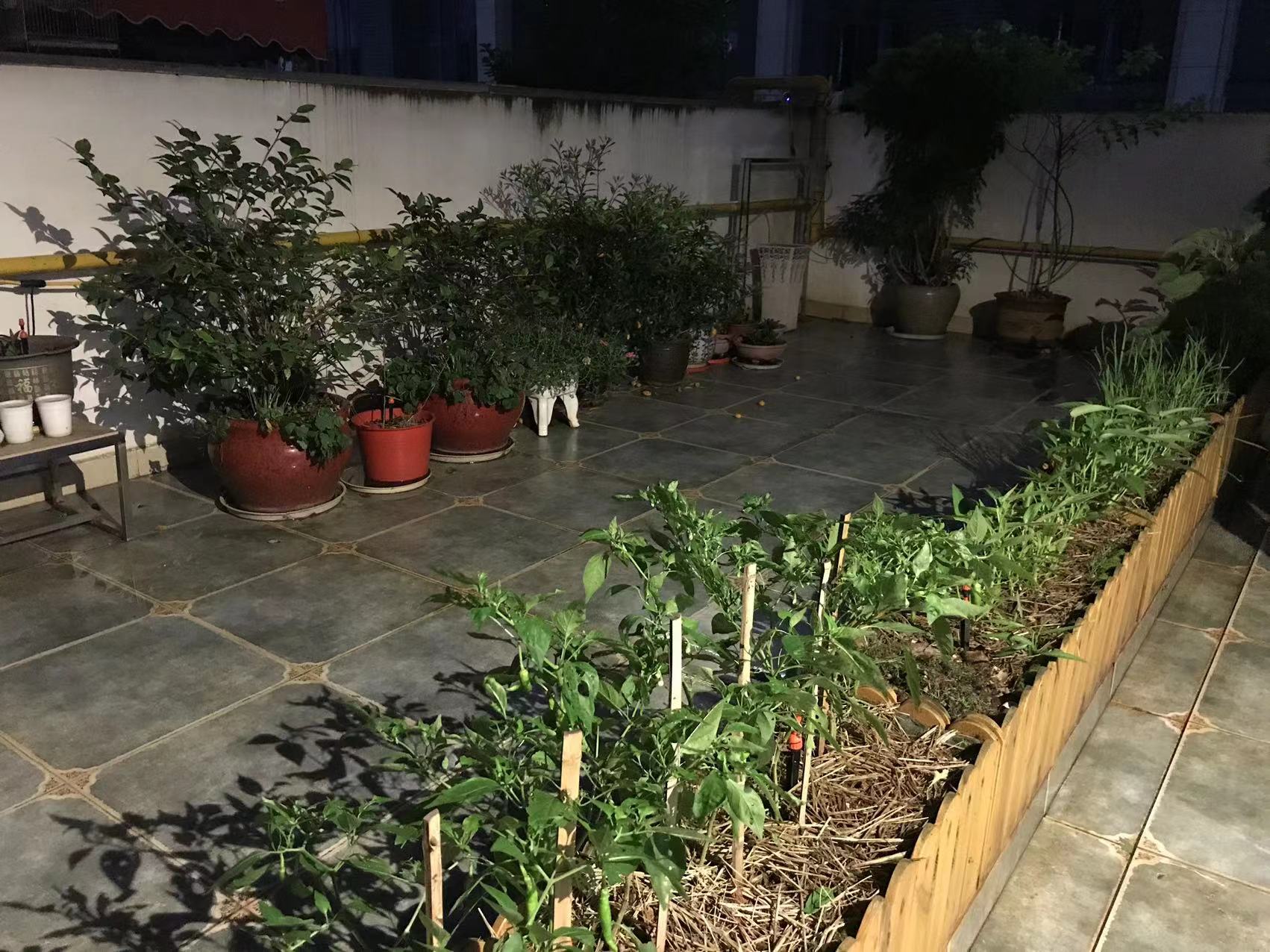 桂花城 3室2厅1卫 83.8万 桂花城 3室2厅1卫 83.8万客厅