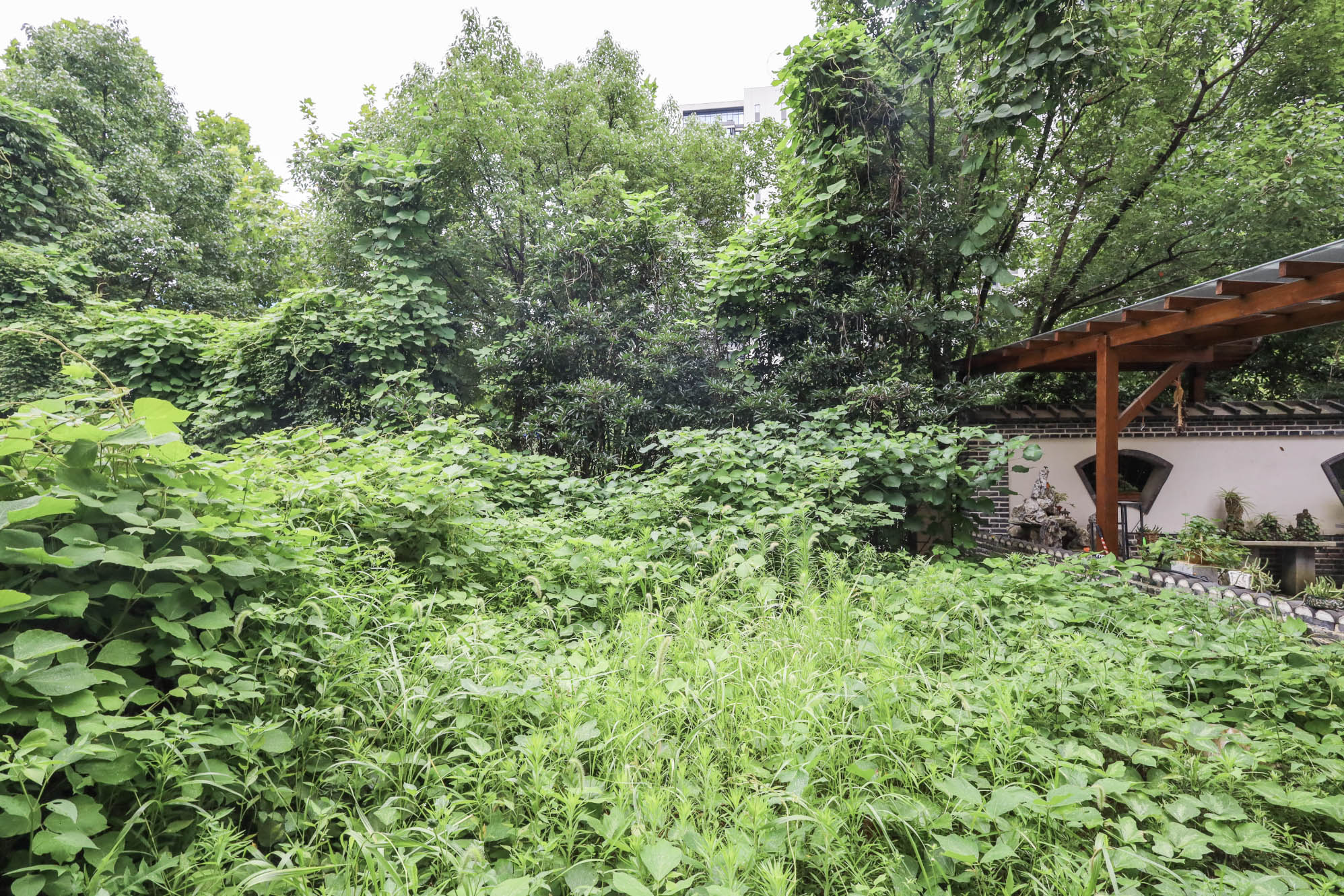 旭辉御府  6室3厅2卫   570.00万其他