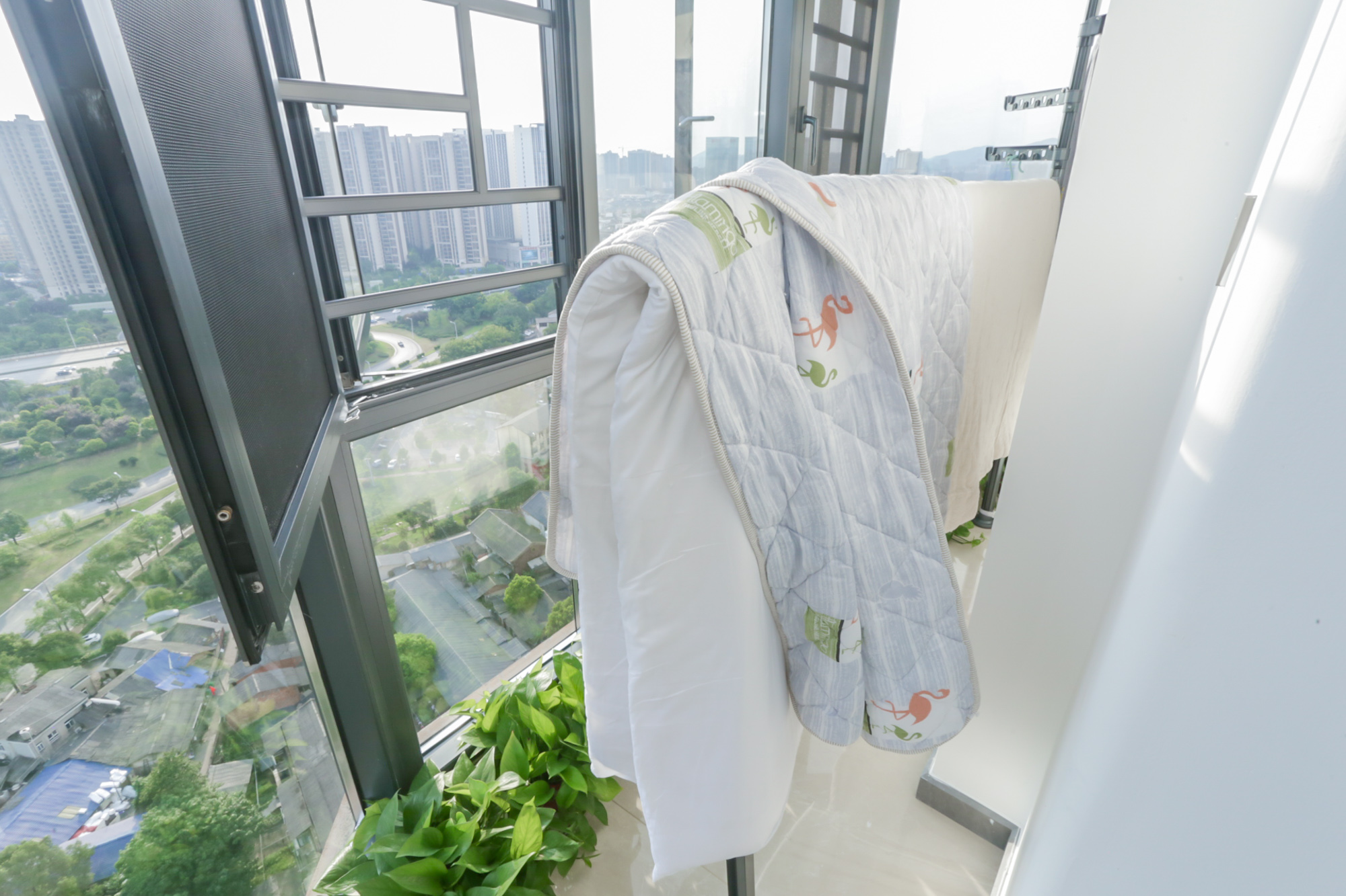 中一九骏（枫桥苑）  1室1厅1卫   49.80万阳台