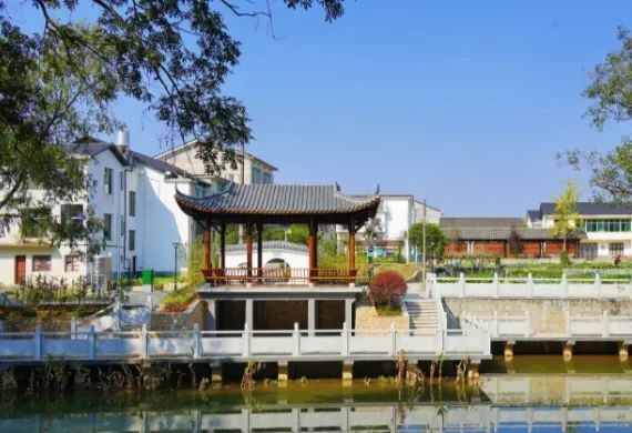 近日，长沙县金井河高桥镇段被评为2022年度“美丽河湖”！