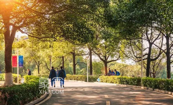 【租房季】南雅中学周边租房：绿化率高，文化商业休闲兼具备