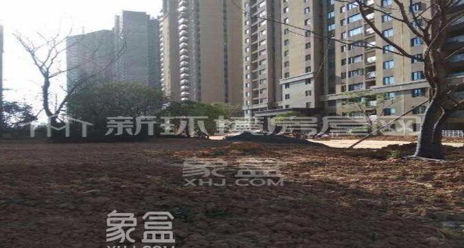 月亮岛二手房推荐 勤诚达境界城东临大河西南北大动脉—金星路 交通方便