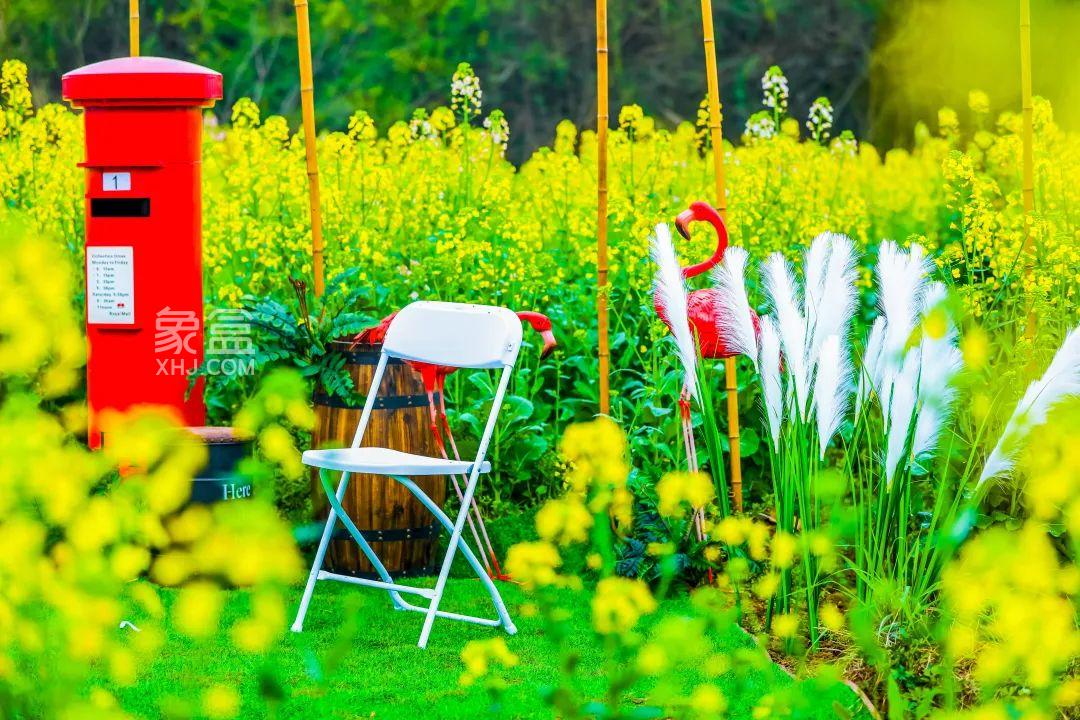 3月9日“春暖湘江 花漾新區(qū)”2023湘江新區(qū)花鄉(xiāng)生活節(jié)暨第8屆含浦油菜花節(jié)啟幕！