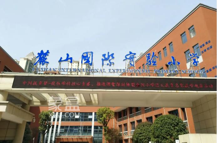 【报名季】岳麓区优质小学盘点，配套学区&房价汇总！
