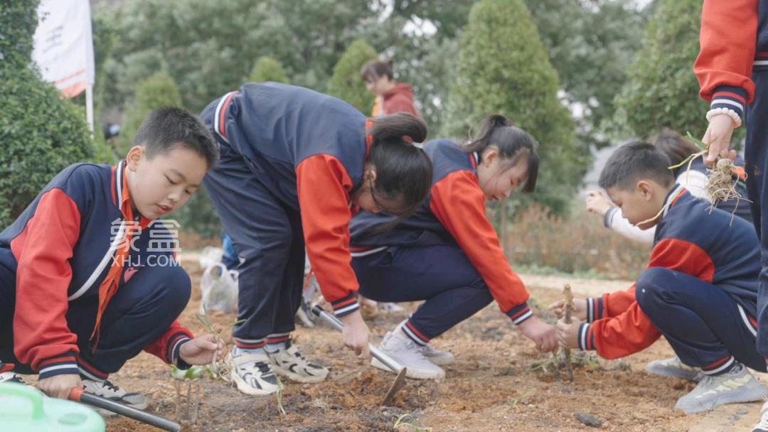 【報名季】3月12日楓樹山石燕湖小學(xué)鄉(xiāng)村復(fù)興少年宮植樹節(jié)活動舉辦！