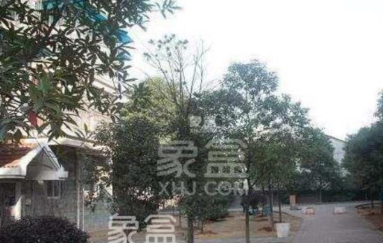 长沙高桥二手房系列四：紫薇苑二手房配置如何 紫薇苑二手房房源
