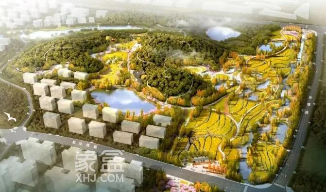 望城区新增68万平城市生态公园！计划今年开建！