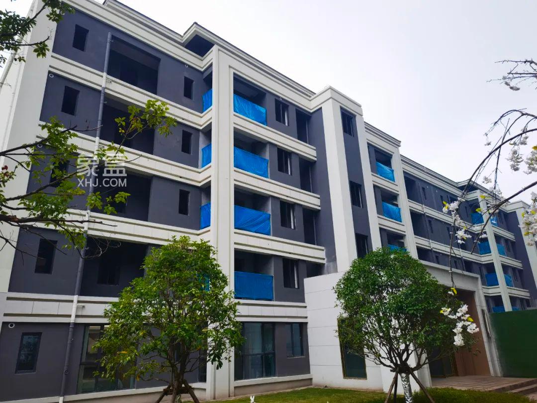 【报名季】澳海云湘赋3月家书，斑马湖小学建面132-144㎡洋房7字头热销中！