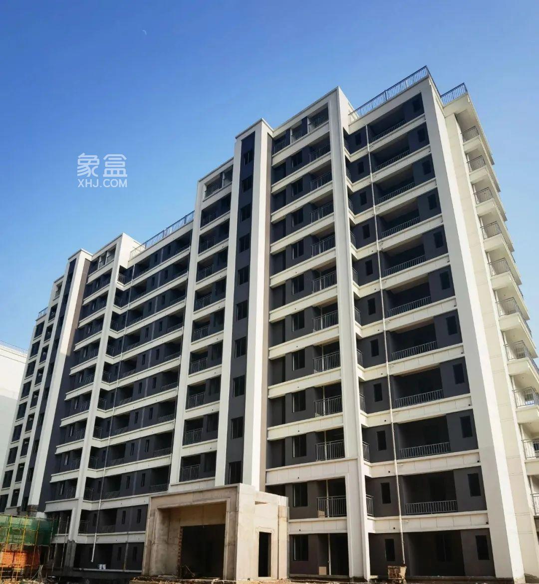 【报名季】澳海云湘赋3月家书，斑马湖小学建面132-144㎡洋房7字头热销中！