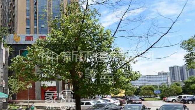 星沙大道二手房推荐 香槟小镇(香槟花苑)目前长沙市场时尚活力、优雅品质的健康示范住宅