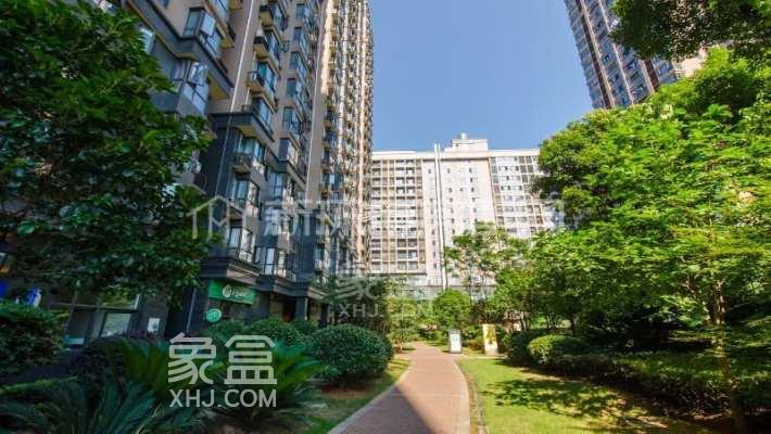 芙蓉區(qū)熱門小區(qū)集合！大戶型，豪家裝，均價(jià)不高改善型剛需