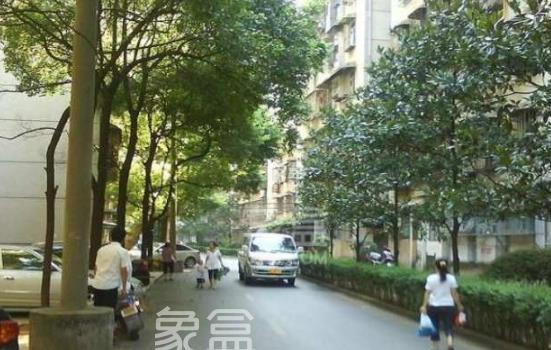 長沙韶山南路二手房系列十一：南園小區(qū)是塔樓還是別墅 南園小區(qū)有什么缺點嗎