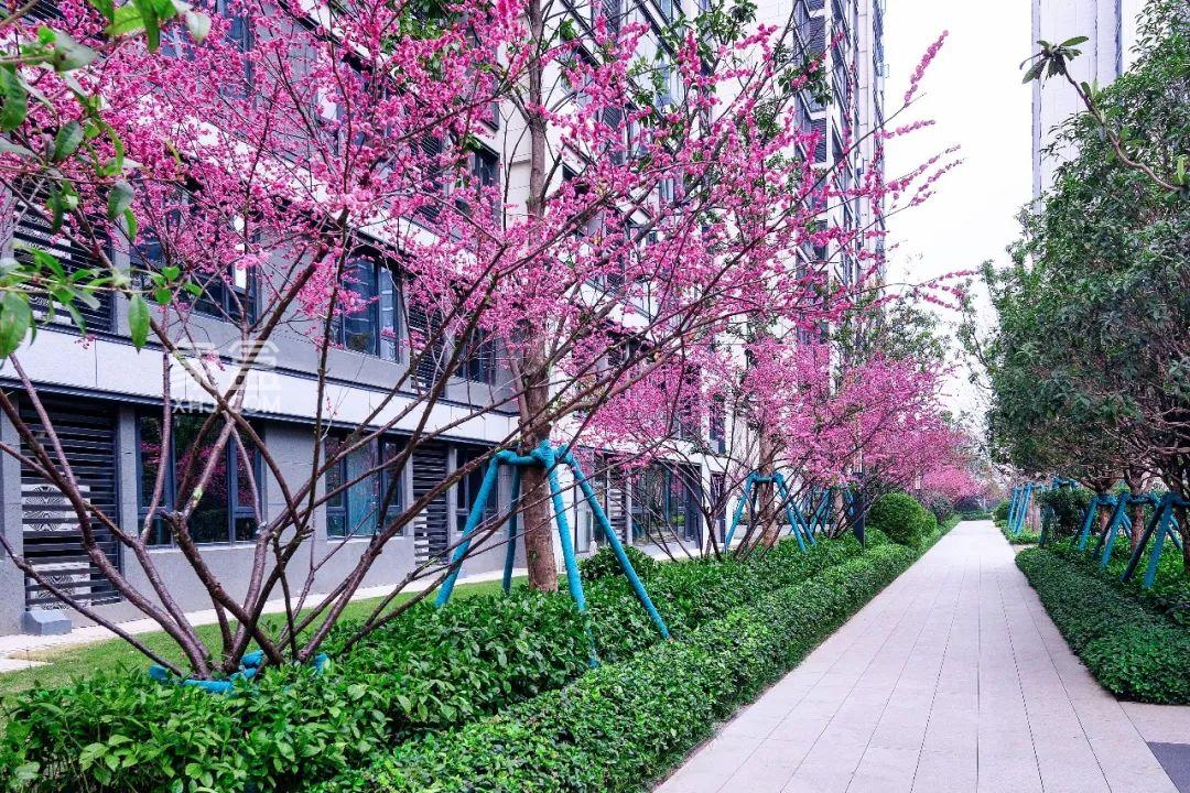 【报名季】3月中海阅麓山交付季，洋湖建面40-60㎡商铺+车位热销中！
