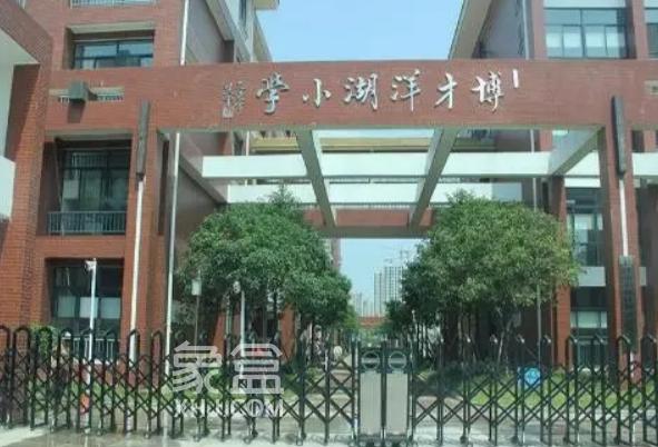 【报名季】小升初本片区派位！洋湖板块小学盘点，配套学区及房价汇总！