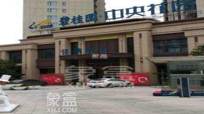 開元路二手房之碧桂園中央花園經(jīng)濟(jì)發(fā)展和影響力堪比長沙的五一路增值潛力大