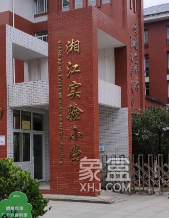 【报名季】小升初本片区派位！洋湖板块小学盘点，配套学区及房价汇总！
