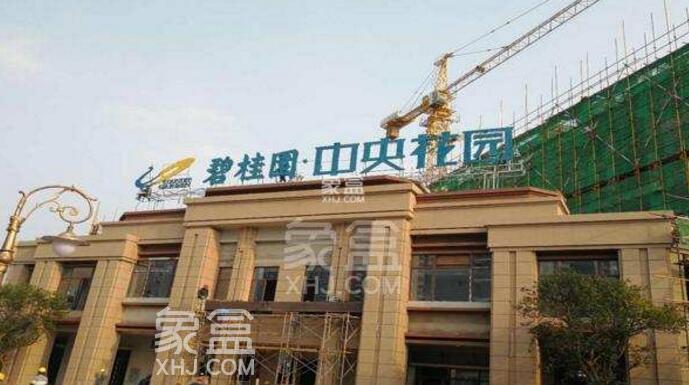 開元路二手房之碧桂園中央花園經(jīng)濟(jì)發(fā)展和影響力堪比長沙的五一路增值潛力大