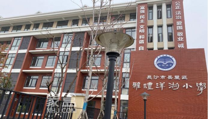 【报名季】小升初本片区派位！洋湖板块小学盘点，配套学区及房价汇总！