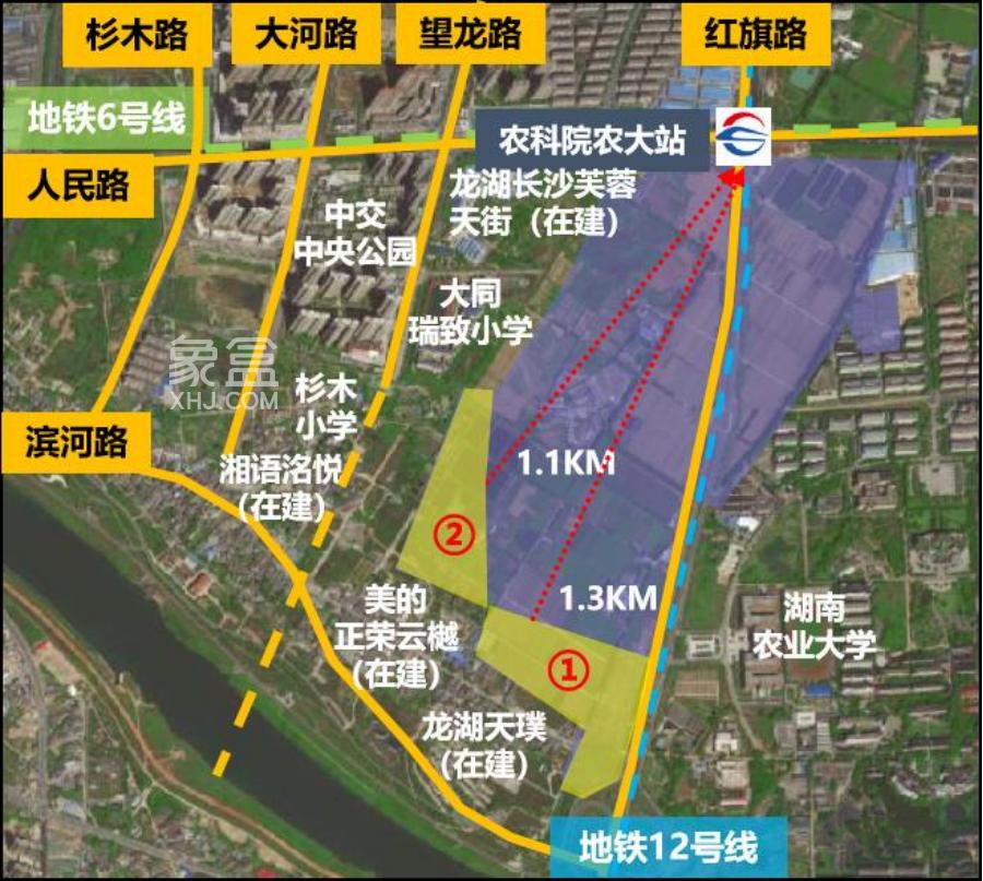 芙蓉区首个“双学区盘”来了！全新项目“中建桃李九章”效果图曝光！