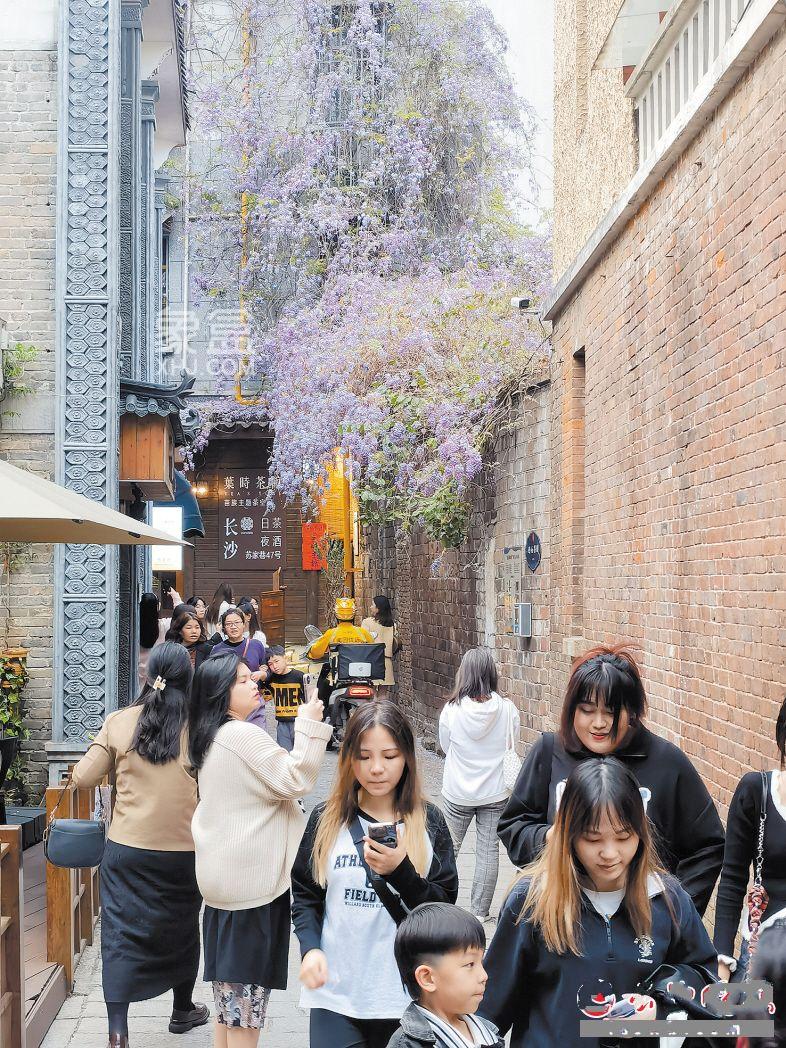 豐泉古井社區(qū)：多元推進(jìn)城市基層治理，五條“網(wǎng)紅街”引來(lái)眾多游客打卡！