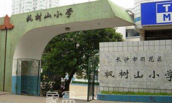 【租房季】枫树山小学周边租房：市区佳地，教育，医疗，交通十分便利