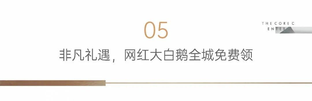 【報(bào)名季】4月8日城發(fā)恒偉會(huì)展壹中心108、125㎡樣板間開放，雅禮洋湖會(huì)展中學(xué)加持！
