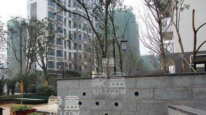 【报名季】枫树山东南海小学2023年秋季新生网上报名事宜以及周边小区介绍