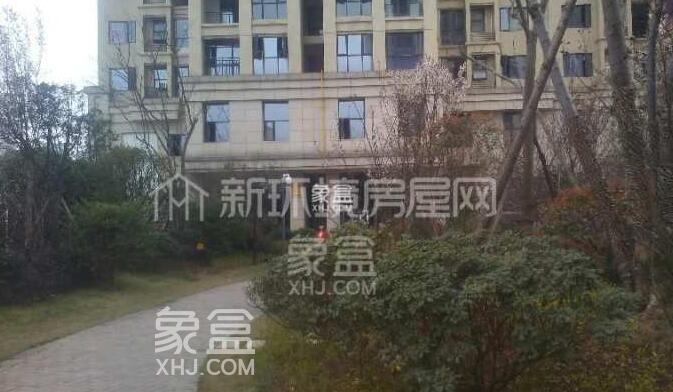 【报名季】枫树山东南海小学2023年秋季新生网上报名事宜以及周边小区介绍